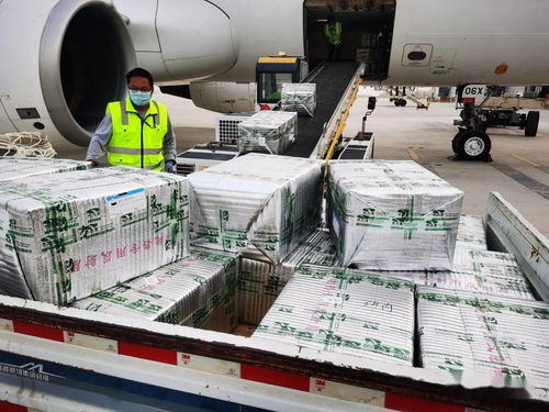 烏魯木齊國際機(jī)場國際貨運業(yè)務(wù)全面恢復(fù)運營