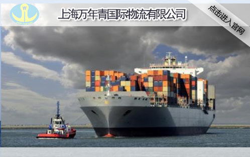 上海國際外貿(mào)出口海運運輸公司 萬年青國際物流
