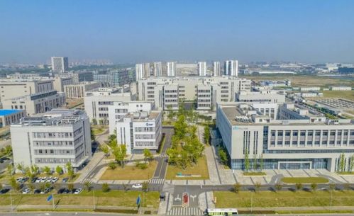 自主研發(fā)助力精準(zhǔn)醫(yī)療 全國首款非小細(xì)胞肺癌新藥上市背后的寧波力量